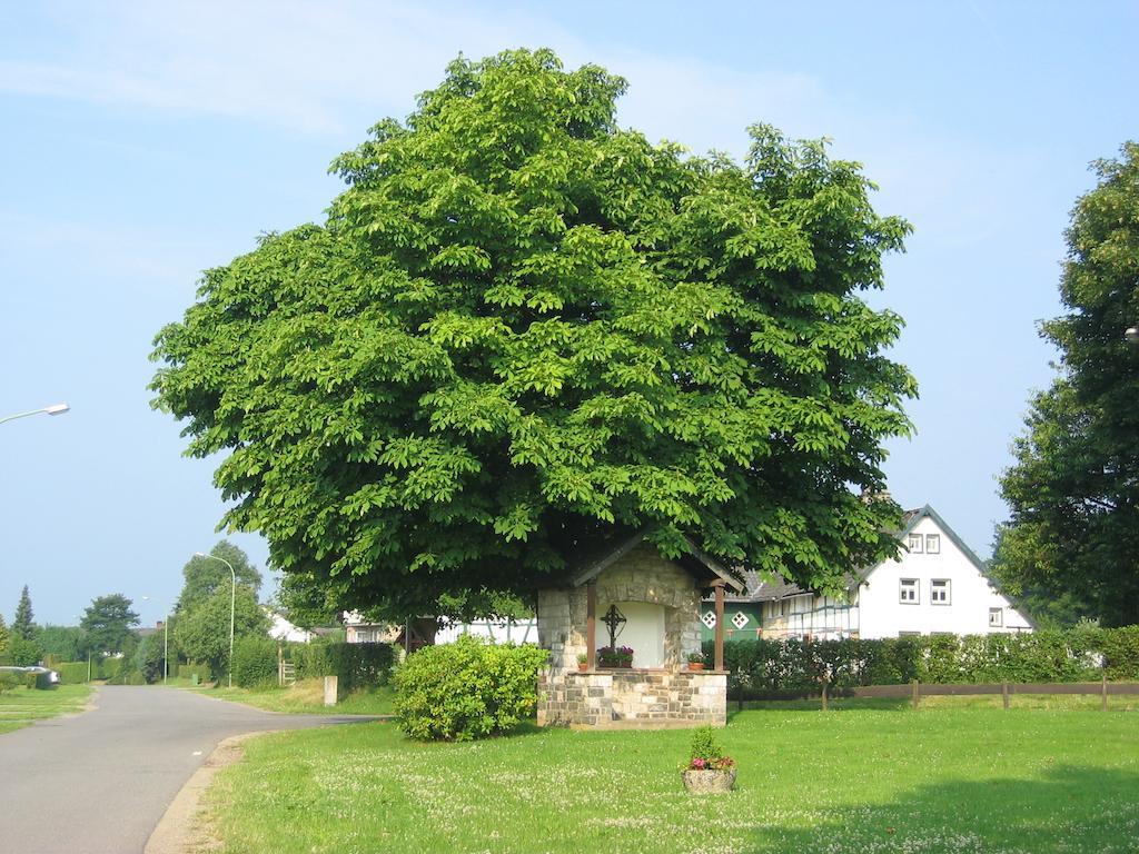 Ferienwohnung Roeben ซิมเมอร์อาท ภายนอก รูปภาพ